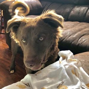 Meet your Posher, Corinthia